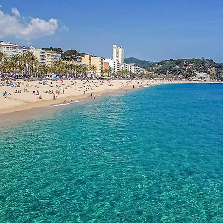 Holiday home Pet Friendly In Vidreres Lloret de Mar